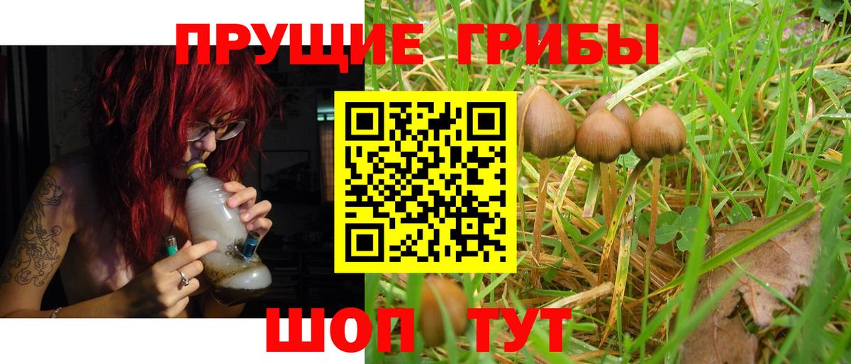 Галлюциногенные грибы ЛСД  Вход с VPN  Заводоуковск 