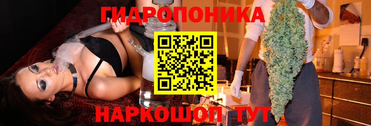 Шишки марихуана THC 21%  Вход с VPN  Заводоуковск  Шишки марихуана планчик  Бошки марихуана ГИДРОПОН 